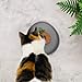 ne&no Futternapf für Katzen [nala Collection] - Flache Futterschale | Breiter Silikonnapf | Fressnapf | Silikon Napf | Katzenfutter Teller