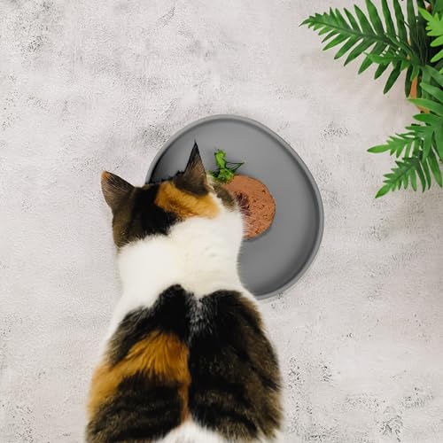 ne&no Futternapf für Katzen [nala Collection] - Flache Futterschale | Breiter Silikonnapf | Fressnapf | Silikon Napf | Katzenfutter Teller