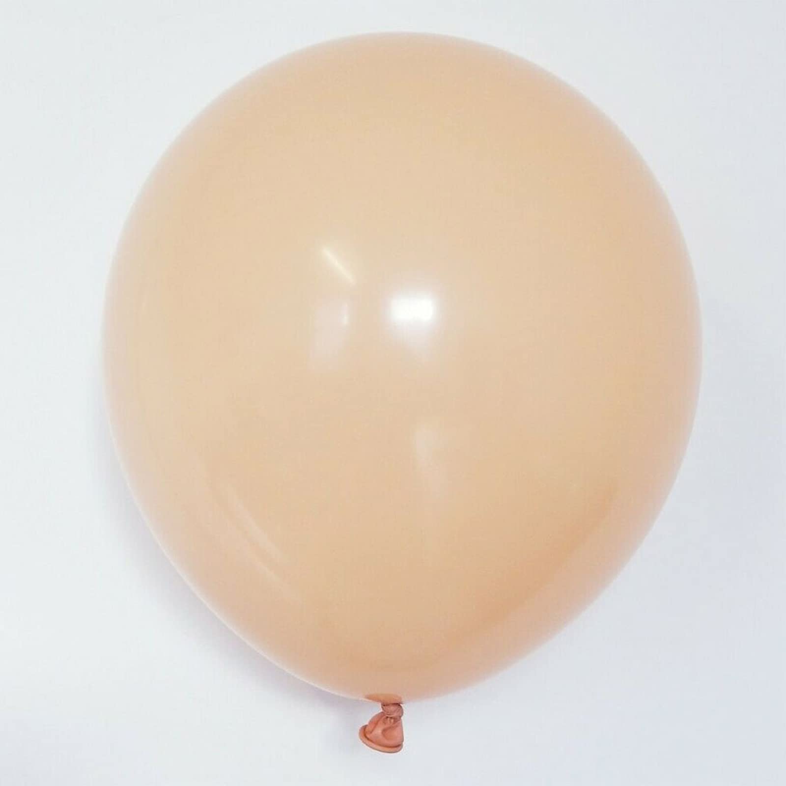 Blush Balloon Pastel Balloons 10inch 50pcs Thickened Latex Balloons for Birthday Wedding Engagement Anniversary Festival Bridal Baby Shower Bachelorette Parties(10inch)