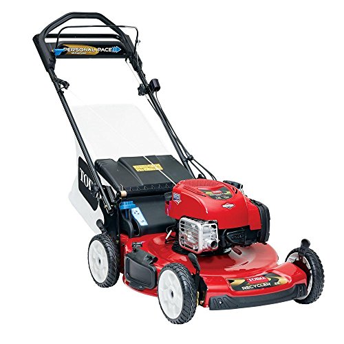 TORO 22in. Electric Start Personal Pa