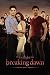 Twilight 4 Breaking Dawn Movie Group Poster Print - 24x36 Poster Print, 24x36
