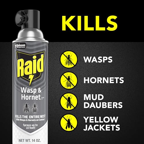 Image of Raid Wasp & Hornet Killer Spray, Kills the Entire Nest, for Paper Wasps, Yellow Jackets, Mud Daubers and More, 14 oz (Pack of 4)