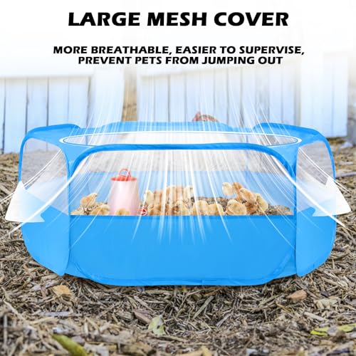 UWE Cercadinho para animais pequenos, caixa de chocadeira de frango com tampa, barraca de gaiola par