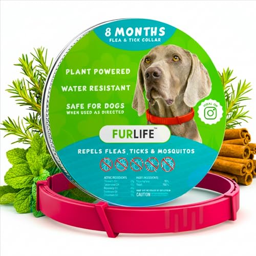FurLife Flea and Tick Collar for Dogs Waterproof Red Dog Collar Pet Supplies for Tick and Flea Prevention for Dogs Safe for All Breeds