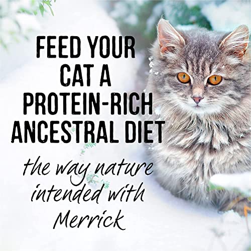 Merrick Backcountry Grain Free Wet Cat Food, Real Beef Recipe Cuts, Protein-Rich Morsels In Gravy, Natural Cat Food For Adult Cats, 3-Ounce Pouch (Pack Of 12) #TOP7
