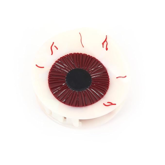 1 Piece Personalized Acetate Novelty Department of Ophthalmology Eye Hair Claw Clip