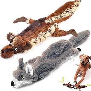 Aidiyapet 2 PCS Jouet pour Chien, Interactifs...