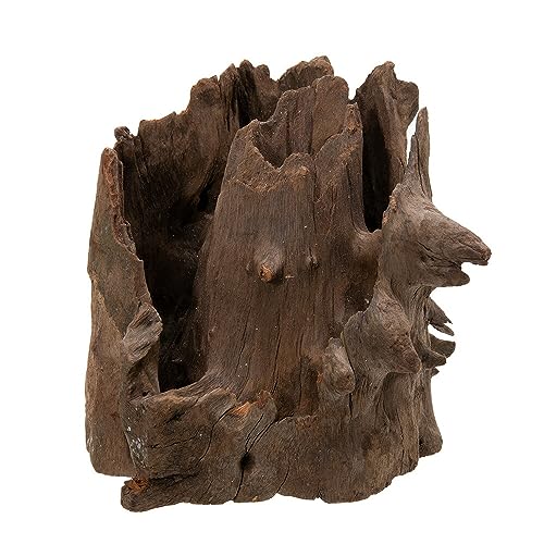 カミハタ タイ産天然流木 ツリーボトムウッド M 18×15×18cm アクアリウム 水槽