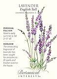 Lavender English Tall Seed