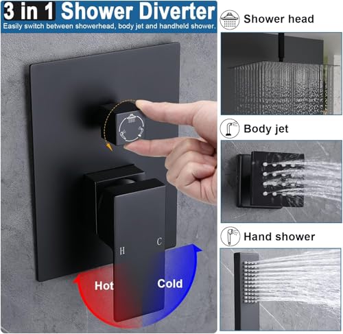 Double pomme de douche de tête plafond 30,5 cm et douche murale 15,2 cm
