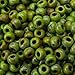 Matte Picasso Chartreuse Miyuki 6/0 Seed Bead 20 Gram