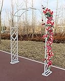 【Hermosa decoración】 Cuando la escalada crece sobre el arco protegido, te sorprenderá lo hermoso y el cuento de hadas que es tu jardín. Aporta un toque de encanto sureño a tu patio o jardín.