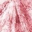 03 - Pink 03 - Pink