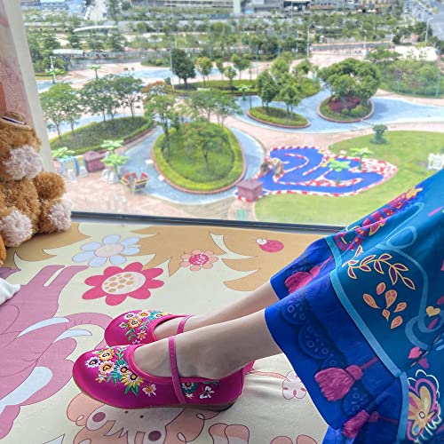 Encanto Costume Shoes for Girls Gorgeous Mary-Jane Ballet Pumps Comfortable Low Heel Round Toe Flats Floral Embroidery Shoes4