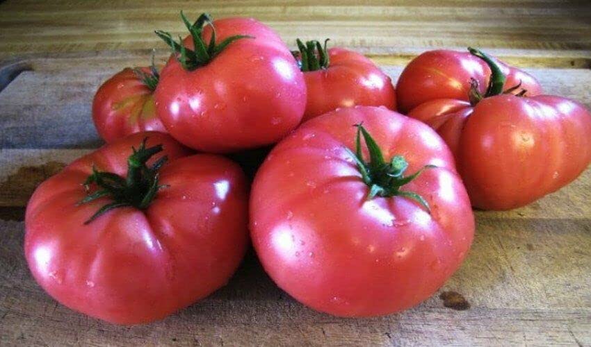 M-Tech Gardens Rare Tomato " Mikado Pink " Exotic 100 Vegetable Seeds for Growing