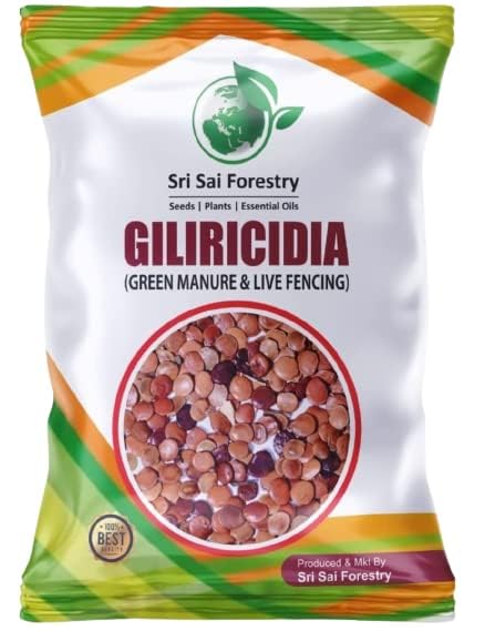 SRI SAI FORESTRY Gliricidia Sepium Tree Seeds (500 G) | For Fodder Manure | Live Fencing of Agriculture Lands | Gliricidia Tree Seed (B0CQR71436) Amazon Price History, Amazon Price Tracker