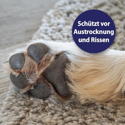 Canosept Pfotenpflege für Hunde 75g - Pfotenbalsam Hund - Pfotenpflege Hund - Hundepfoten Pflege Creme für weiche & geschützte Pfoten bei jeder Wetterlage