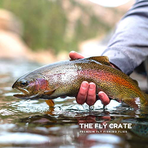 The Fly Crate Woolly Bugger Flies for Trout Fly Fishing Assortment - Size #8 Streamer Fly Fishing Flies (12 Pack - Size #8) - Thumbnail 7