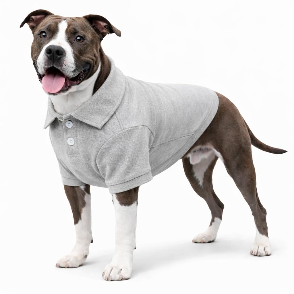 lovelonglong Basic Dog Polo Shirts Premium Cotton, Polo T-Shirts for Large Medium Small Dogs with a Two-Button Collar Blank Color Gray XL