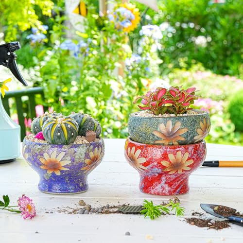 Image of Sungmor Set of 3 Beautiful Handicrafts Ceramic Planters - 4.9 Inch Small Succulent Flower Pots with Drainage - Pretty Desktop Windowsill Landscape Flowerpot - Home & Office Decor Pots