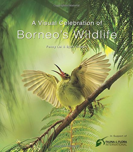 Visual Celebration of Borneo's Wildlife: [All Royalties Donated to Fauna & Flora International]