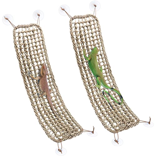 10 Best Lizard Hammocks A Comprehensive Buying Guide for Reptile