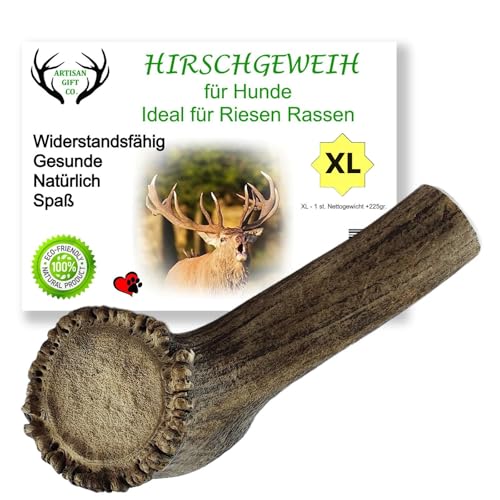 ARTISAN GIFT CO Hundesnack Rothirsch Geweih Kausnack -100% Natürlicher - Mindestgewicht 225 Gramm (XL - 1 stück)