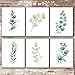 Botanical Prints Wall Art - Eucalyptus Leaves - (Set of 6) - Unframed - 8x10s | Kitchen Wall Décor | Kitchen Décor for Adding a Touch of Nature and Freshness to Your Kitchen Art | Botanical Wall Art