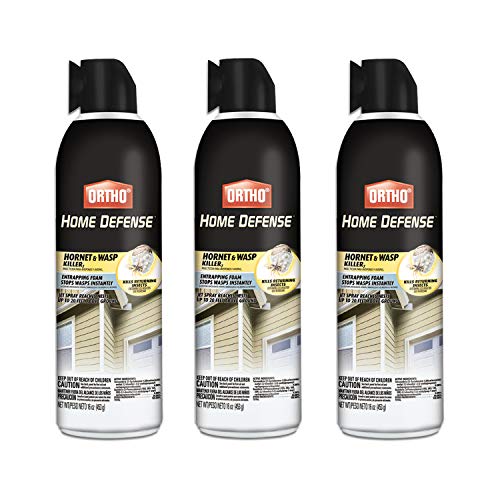 Ortho Home Defense Hornet & Wasp Killer7 16 oz., 3-Pack