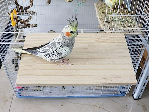 34.5 x 20 cm Large Bird Platform, Natural Wood Pet Climbing Platform - Image 2