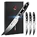 TUO 4-teilig Steakmesser Set, Klingenlänge 12,7cm, Profi Steak Messer aus Deutschem Edelstahl, Ultrascharfe Tafelmesser mit Ergonomischem G10-Griff, Black Hawk S Series