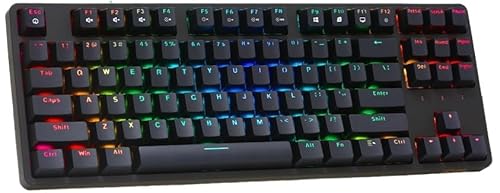 IROK FE87 Q[~OL[{[h Ԏ RGB É 87L[ eL[X pz L USB Type-A Type-C JjJL[{[h zbgXbvΉ t[eBOL[{[h }OlbgJo[ (BLACK^Ԏ, 87L[