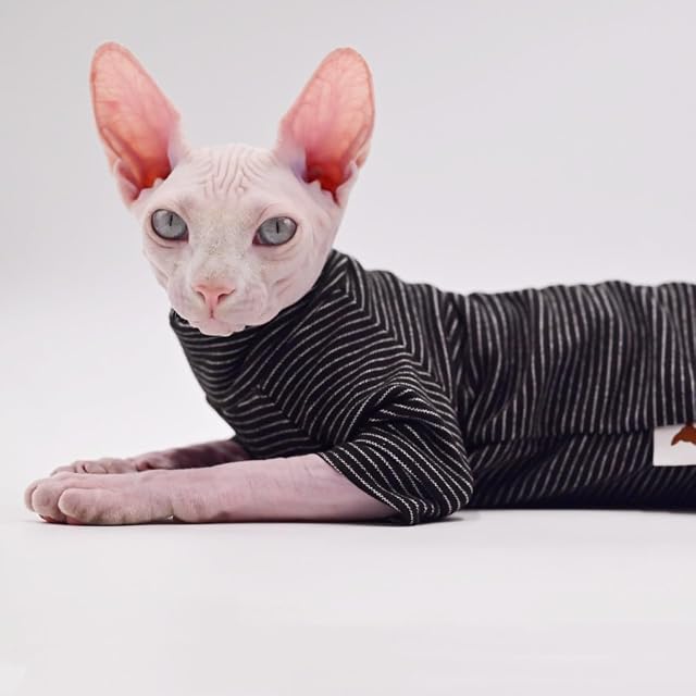 Foto 4 de 6 de Ropa de gato sin pelo de terciopelo de cuatro patas, ropa cálida de otoño e invierno para gato Sphynx
