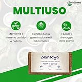 PLANTAWA B08TCGPXYW lato 2