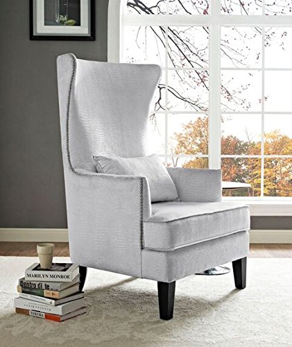 Tov Furniture TOV-A89 The Bristol Collection Contemporary Velvet Upholstered Tall Living Room Parlor Chair With Nailhead Trim, Silver Croc thumb #1