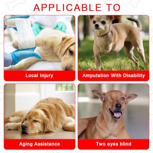 Trendecor Tragehilfe Hund, Verstellbare Hunde Tragehilfe Hundeliftgeschirr mit Griffen Sicherheitsunterstützung Ganzkörpergeschirr für Behinderte Verletzte oder Mittelgroße Ältere Hund M