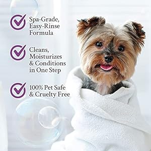 Ginger Lily Farms Dog  Pet Formula 2in1 Shampoo  Conditioner 100 Vegan  Crueltyfree Coco Mango 1 Gallon Refill 128 Fl Oz  Cucciolini Doodles Ginger lily farms dog  pet formula 2 in 1 shampoo  conditioner 100 vegan  cruelty free coco mango 1 gallon refill 128 fl oz   cucciolini doodles