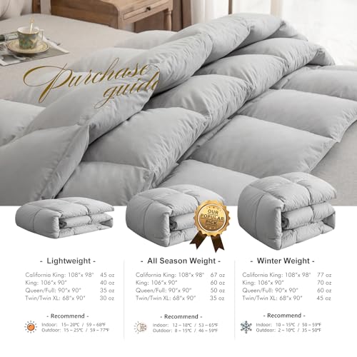 Image of Royoliving Premium Feathers Down Duvet Insert Comforter Queen Size Gray All Season Medium Warmth Grey 100% Cotton Cover with Corner Tabs (90x90, 50 oz)