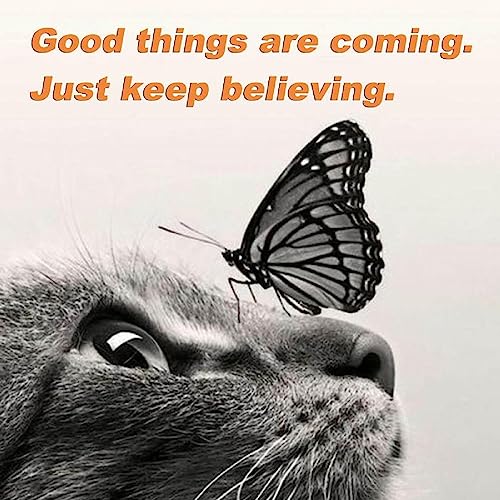 ThreeSixtyFive_ToYou #SEEUN365 #3652U