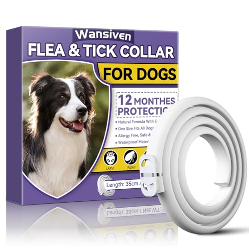 Wansiven Collare antipulci per cani, collare antipulci regolabile con oli essenziali, protezione 12 mesi, 65 cm