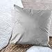 BCASE Funda Cojin Terciopelo 45x45 cm, Funda Cojin Decorativa, Suave y Moderna para Habitación, Sofá, Cama etc Color Gris Claro