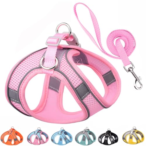 Small Dog Harness Set