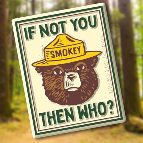 Imán Smokey Bear 'If Not You' 2.4" x 3.1" Vintage miniatura 4