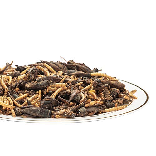 Amzey Appetizing Mealworms with Natural Dried Crickets (8oz) All