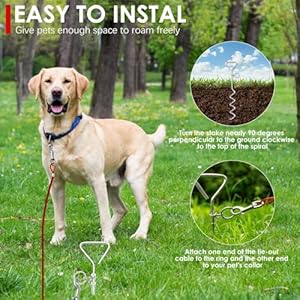   BINGPET-Dog-Tie-Out-Cable-and-Stake25FT-Long-Dog-LeadsChain-for-YardCamping-and-Outdoors-Heavy-Duty16-Anti-Rust-Spiral-Dog-Tie-Out-StakeNo-Tangle-Dog-Runner-for-Small-to-Medium-DogsRed