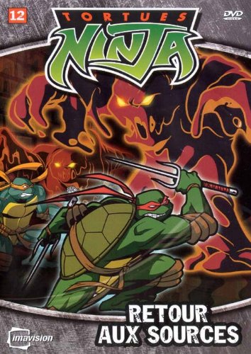 Tortues Ninja / Vol 12 [DVD]