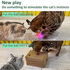   Cat-Ball-Toys-for-Indoor-Cats-Bouncing-Balls-Wicked-Ball-Motion-Cat-Toys
