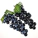 Venkaite 2pc Deko Kunststoff Weintrauben Wein Trauben Kunstobst Plastikobst künstliches Obst Gemüse Dekoration (schwarz)