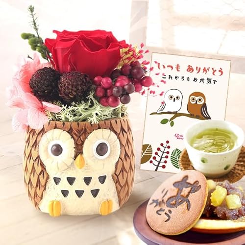 おいもや 敬老の日 プレゼント 花 フラワーギフト ミニポット プリザーブドフラワー どら焼き ふくろう (一寸ポットふくろう赤) KR