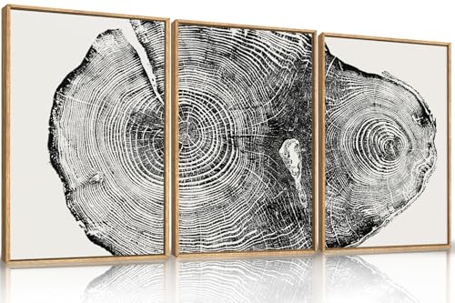 Aryroi Large Vintage Tree Ring Framed Canvas Wall Art,Abstract Wood